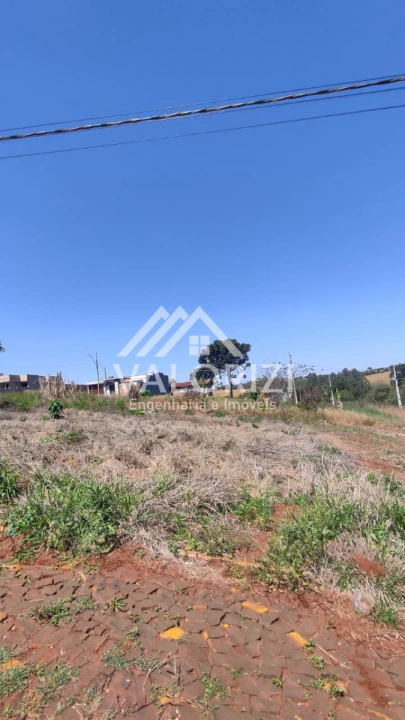 Imagem da galeria de fotos: Terreno/Lote Residencial para Venda - Dois Vizinhos, Parque Araucária - REF: 34