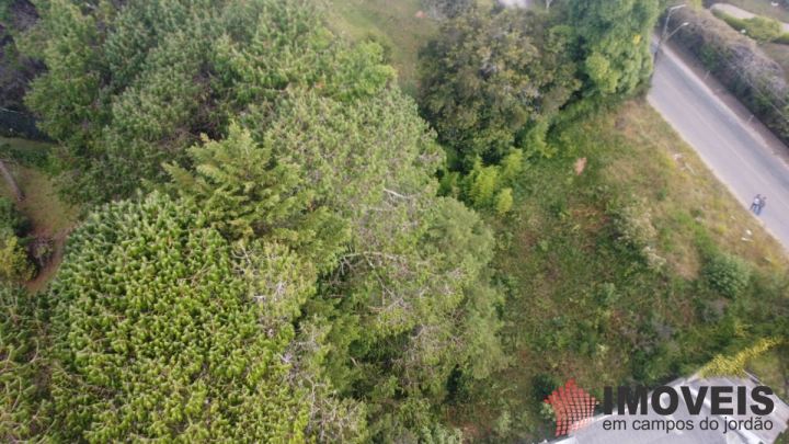 Terreno/Lote Comercial para Venda - Campos do Jordão, Alto do Capivari - REF: 2387 Imagem da galeria de fotos: Terreno/Lote Comercial para Venda - Campos do Jordão, Alto do Capivari - REF: 2387