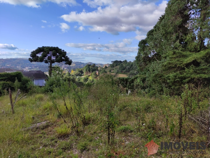 Terreno/Lote Comercial para Venda - Campos do Jordão, Alto do Capivari - REF: 2387 Imagem da galeria de fotos: Terreno/Lote Comercial para Venda - Campos do Jordão, Alto do Capivari - REF: 2387