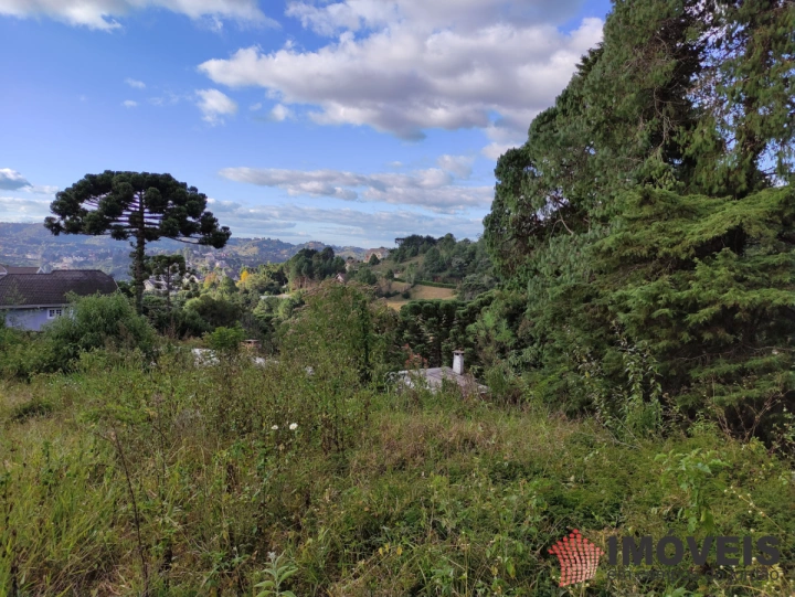 Terreno/Lote Comercial para Venda - Campos do Jordão, Alto do Capivari - REF: 2387 Imagem da galeria de fotos: Terreno/Lote Comercial para Venda - Campos do Jordão, Alto do Capivari - REF: 2387