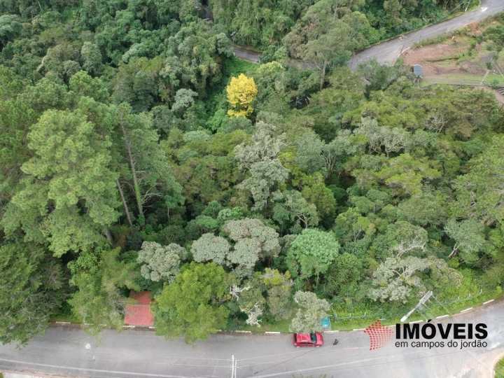 Terreno/Lote Residencial para Venda - Campos do Jordão, Alto do Capivari - REF: 2300 Imagem da galeria de fotos: Terreno/Lote Residencial para Venda - Campos do Jordão, Alto do Capivari - REF: 2300