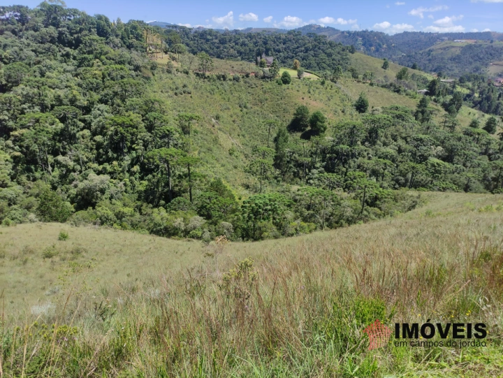 Terreno/Lote Residencial para Venda - Campos do Jordão, Descansópolis - REF: 2308 Imagem da galeria de fotos: Terreno/Lote Residencial para Venda - Campos do Jordão, Descansópolis - REF: 2308