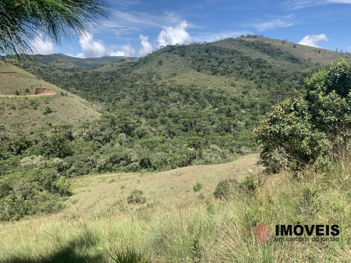 Terreno/Lote Residencial para Venda - Campos do Jordão, Descansópolis - REF: 2310 Imagem da galeria de fotos: Terreno/Lote Residencial para Venda - Campos do Jordão, Descansópolis - REF: 2310