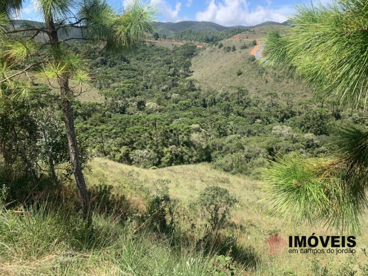 Terreno/Lote Residencial para Venda - Campos do Jordão, Descansópolis - REF: 2310 Imagem da galeria de fotos: Terreno/Lote Residencial para Venda - Campos do Jordão, Descansópolis - REF: 2310