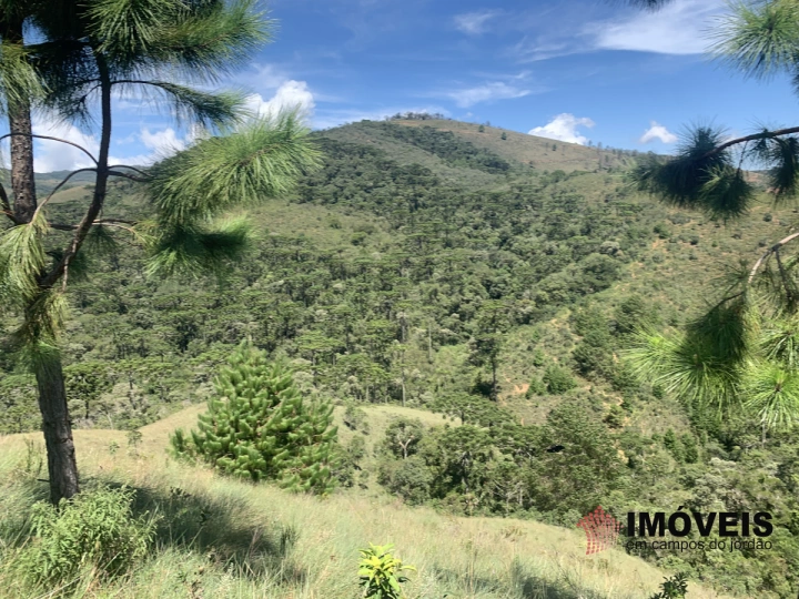 Terreno/Lote Residencial para Venda - Campos do Jordão, Descansópolis - REF: 2311 Imagem da galeria de fotos: Terreno/Lote Residencial para Venda - Campos do Jordão, Descansópolis - REF: 2311