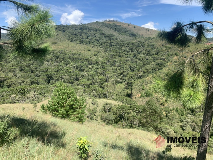 Terreno/Lote Residencial para Venda - Campos do Jordão, Descansópolis - REF: 2311 Imagem da galeria de fotos: Terreno/Lote Residencial para Venda - Campos do Jordão, Descansópolis - REF: 2311