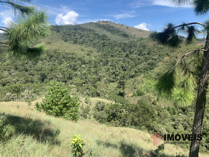 Terreno/Lote Residencial para Venda - Campos do Jordão, Descansópolis - REF: 2311 Imagem da galeria de fotos: Terreno/Lote Residencial para Venda - Campos do Jordão, Descansópolis - REF: 2311