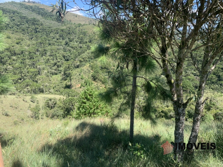 Terreno/Lote Residencial para Venda - Campos do Jordão, Descansópolis - REF: 2311 Imagem da galeria de fotos: Terreno/Lote Residencial para Venda - Campos do Jordão, Descansópolis - REF: 2311