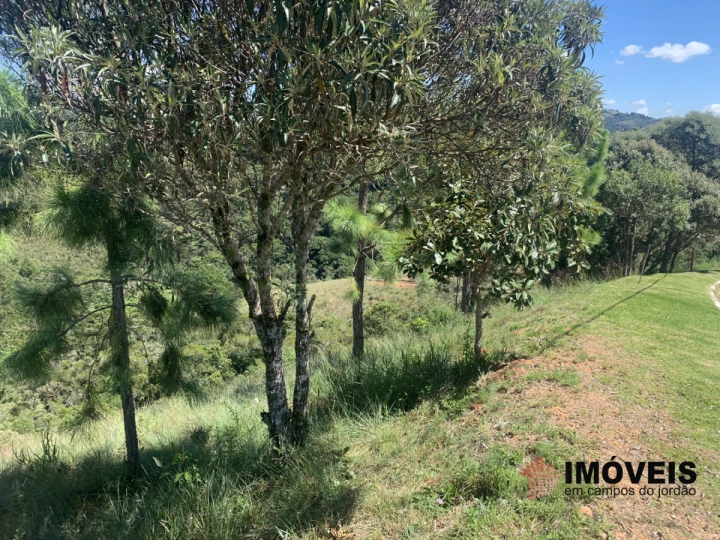 Terreno/Lote Residencial para Venda - Campos do Jordão, Descansópolis - REF: 2311 Imagem da galeria de fotos: Terreno/Lote Residencial para Venda - Campos do Jordão, Descansópolis - REF: 2311