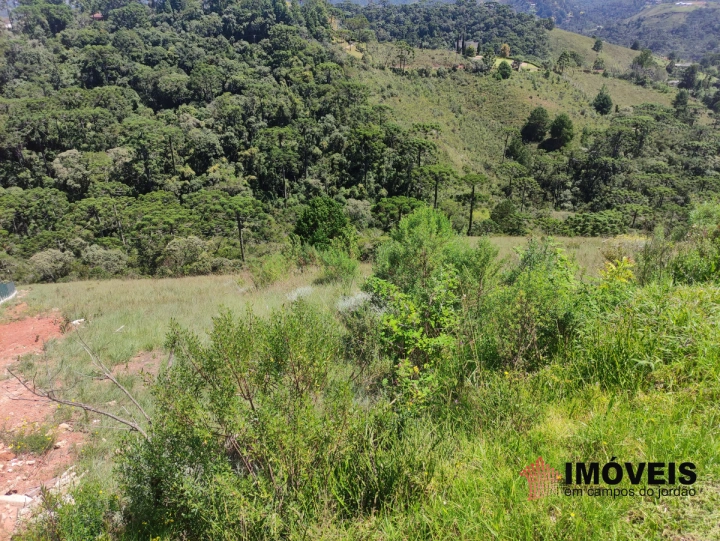 Terreno/Lote Residencial para Venda - Campos do Jordão, Descansópolis - REF: 2313 Imagem da galeria de fotos: Terreno/Lote Residencial para Venda - Campos do Jordão, Descansópolis - REF: 2313