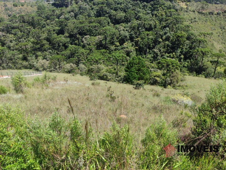 Terreno/Lote Residencial para Venda - Campos do Jordão, Descansópolis - REF: 2313 Imagem da galeria de fotos: Terreno/Lote Residencial para Venda - Campos do Jordão, Descansópolis - REF: 2313