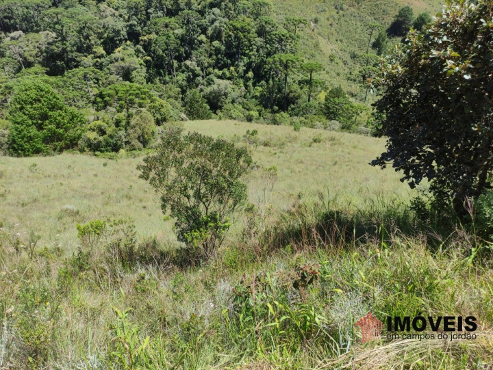 Terreno/Lote Residencial para Venda - Campos do Jordão, Descansópolis - REF: 2314 Imagem da galeria de fotos: Terreno/Lote Residencial para Venda - Campos do Jordão, Descansópolis - REF: 2314