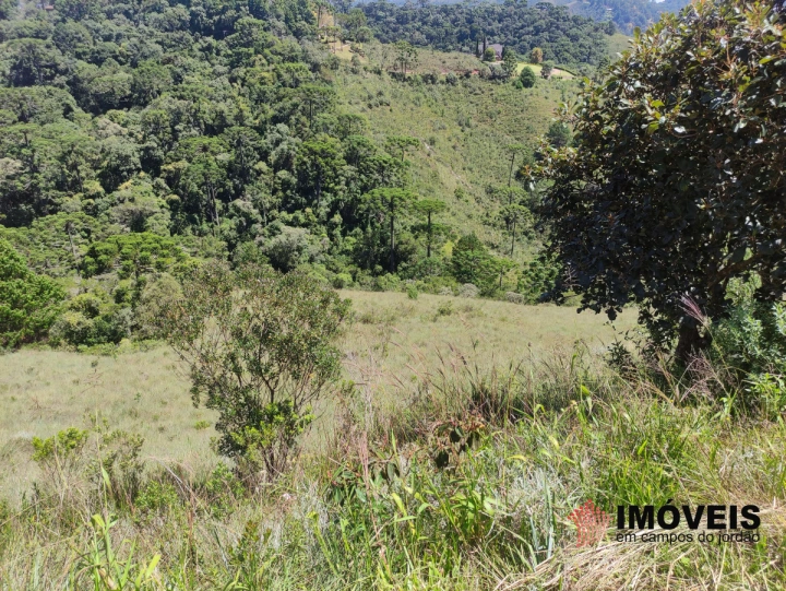 Terreno/Lote Residencial para Venda - Campos do Jordão, Descansópolis - REF: 2314 Imagem da galeria de fotos: Terreno/Lote Residencial para Venda - Campos do Jordão, Descansópolis - REF: 2314