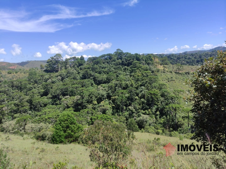 Terreno/Lote Residencial para Venda - Campos do Jordão, Descansópolis - REF: 2314 Imagem da galeria de fotos: Terreno/Lote Residencial para Venda - Campos do Jordão, Descansópolis - REF: 2314