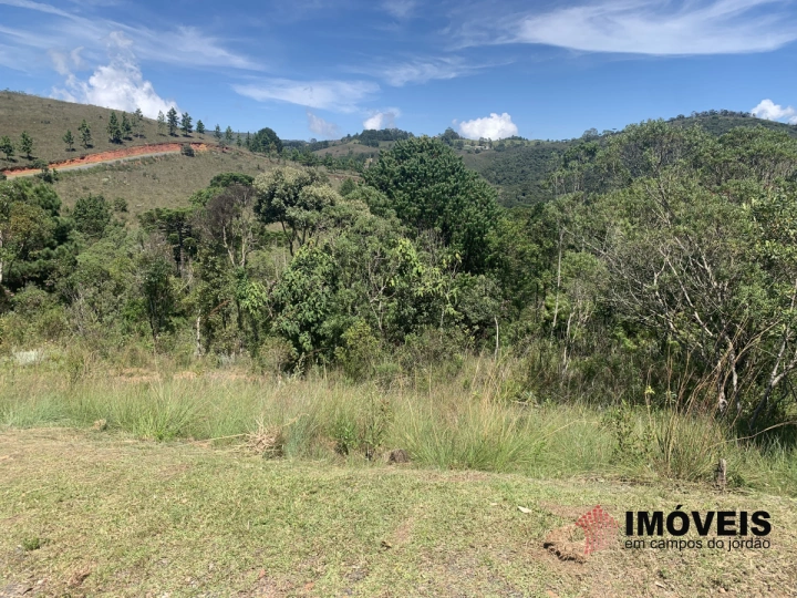 Terreno/Lote Residencial para Venda - Campos do Jordão, Descansópolis - REF: 2317 Imagem da galeria de fotos: Terreno/Lote Residencial para Venda - Campos do Jordão, Descansópolis - REF: 2317