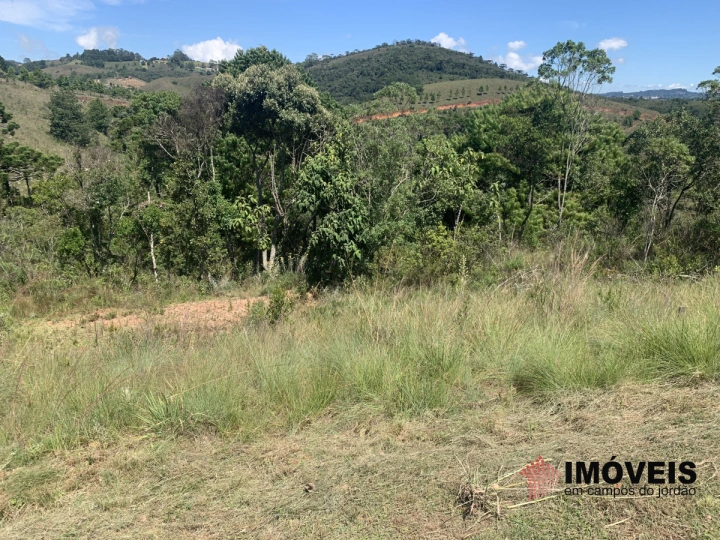 Terreno/Lote Residencial para Venda - Campos do Jordão, Descansópolis - REF: 2317 Imagem da galeria de fotos: Terreno/Lote Residencial para Venda - Campos do Jordão, Descansópolis - REF: 2317