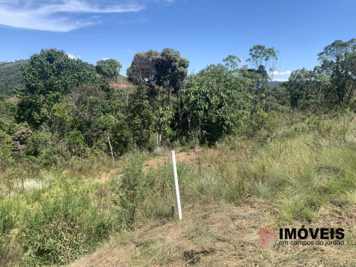 Terreno/Lote Residencial para Venda - Campos do Jordão, Descansópolis - REF: 2317 Imagem da galeria de fotos: Terreno/Lote Residencial para Venda - Campos do Jordão, Descansópolis - REF: 2317