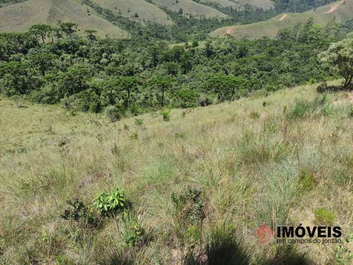 Terreno/Lote Residencial para Venda - Campos do Jordão, Descansópolis - REF: 2318 Imagem da galeria de fotos: Terreno/Lote Residencial para Venda - Campos do Jordão, Descansópolis - REF: 2318