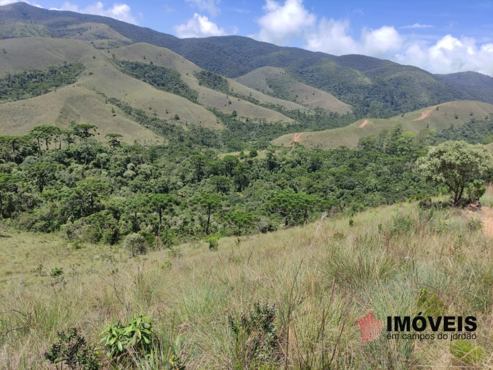 Terreno/Lote Residencial para Venda - Campos do Jordão, Descansópolis - REF: 2318 Imagem da galeria de fotos: Terreno/Lote Residencial para Venda - Campos do Jordão, Descansópolis - REF: 2318