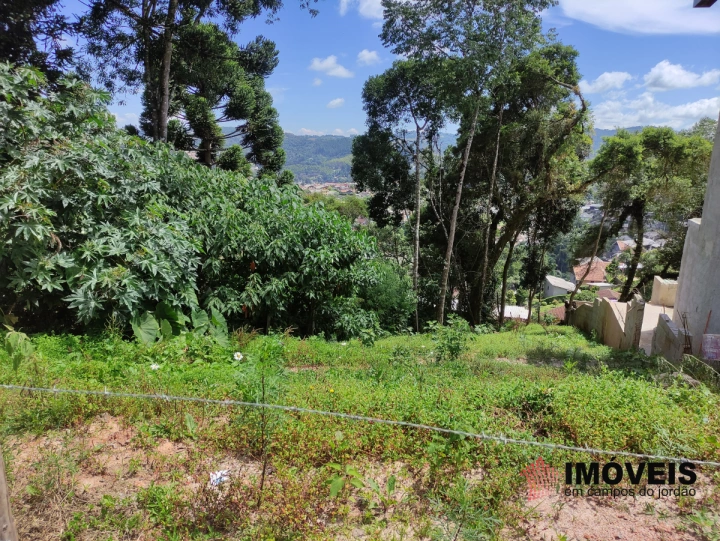 Imagem da galeria de fotos: Terreno/Lote Residencial para Venda - Campos do Jordão, Vila Backer - REF: 2320