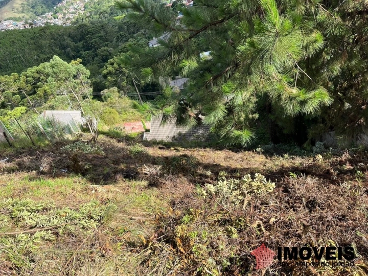 Terreno/Lote Residencial para Venda - Campos do Jordão, Jardim Sumaré - REF: 2332 Imagem da galeria de fotos: Terreno/Lote Residencial para Venda - Campos do Jordão, Jardim Sumaré - REF: 2332