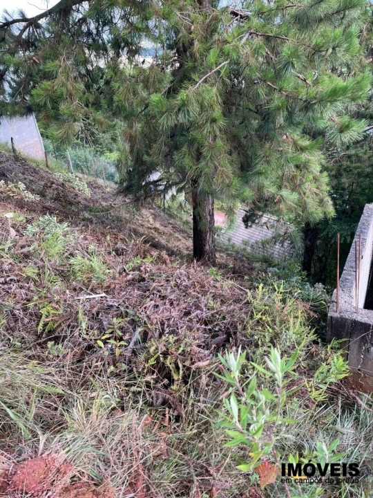 Terreno/Lote Residencial para Venda - Campos do Jordão, Jardim Sumaré - REF: 2332 Imagem da galeria de fotos: Terreno/Lote Residencial para Venda - Campos do Jordão, Jardim Sumaré - REF: 2332