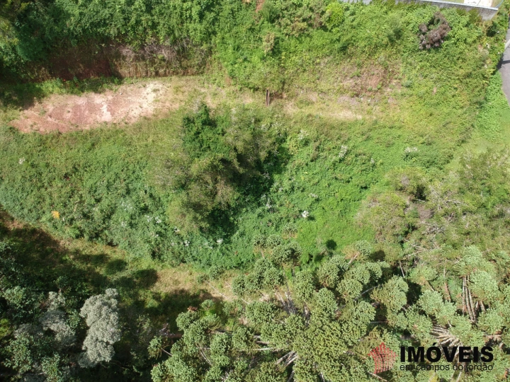 Terreno/Lote Residencial para Venda - Campos do Jordão, Descansópolis - REF: 2333 Imagem da galeria de fotos: Terreno/Lote Residencial para Venda - Campos do Jordão, Descansópolis - REF: 2333
