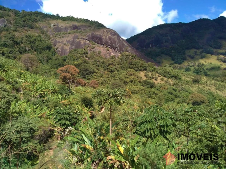 Terreno/Lote Rural para Venda - Campos do Jordão, Jaguaribe - REF: 2354 Imagem da galeria de fotos: Terreno/Lote Rural para Venda - Campos do Jordão, Jaguaribe - REF: 2354