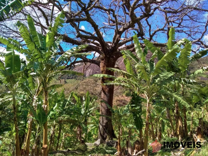 Terreno/Lote Rural para Venda - Campos do Jordão, Jaguaribe - REF: 2354 Imagem da galeria de fotos: Terreno/Lote Rural para Venda - Campos do Jordão, Jaguaribe - REF: 2354