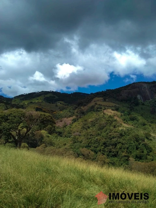 Terreno/Lote Rural para Venda - Campos do Jordão, Jaguaribe - REF: 2354 Imagem da galeria de fotos: Terreno/Lote Rural para Venda - Campos do Jordão, Jaguaribe - REF: 2354