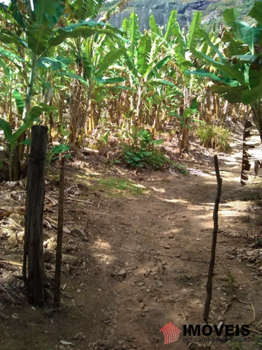 Terreno/Lote Rural para Venda - Campos do Jordão, Jaguaribe - REF: 2354 Imagem da galeria de fotos: Terreno/Lote Rural para Venda - Campos do Jordão, Jaguaribe - REF: 2354