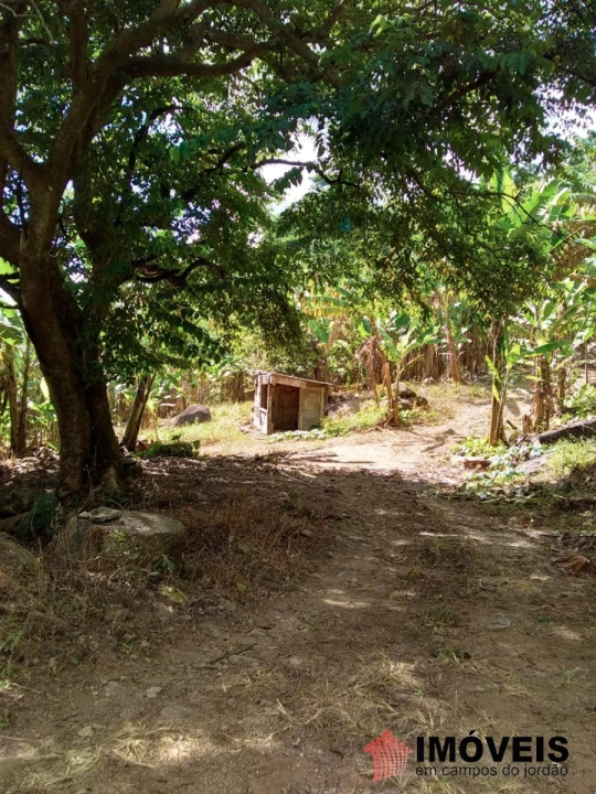 Terreno/Lote Rural para Venda - Campos do Jordão, Jaguaribe - REF: 2354 Imagem da galeria de fotos: Terreno/Lote Rural para Venda - Campos do Jordão, Jaguaribe - REF: 2354