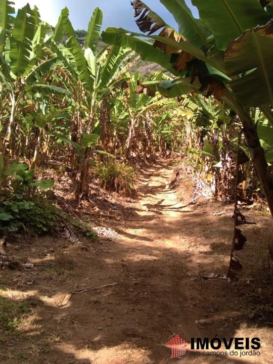 Terreno/Lote Rural para Venda - Campos do Jordão, Jaguaribe - REF: 2354 Imagem da galeria de fotos: Terreno/Lote Rural para Venda - Campos do Jordão, Jaguaribe - REF: 2354