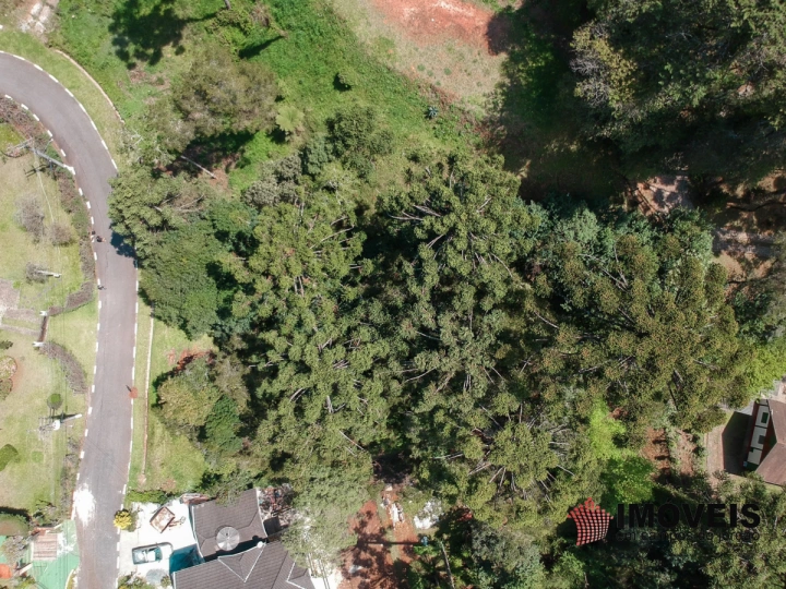 Terreno/Lote Residencial para Venda - Campos do Jordão, Jardim Embaixador - REF: 2355 Imagem da galeria de fotos: Terreno/Lote Residencial para Venda - Campos do Jordão, Jardim Embaixador - REF: 2355