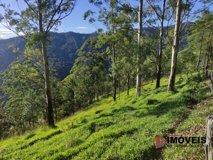 Fazenda Rural para Venda - Campos do Jordão, Monte Carlo - REF: 2357 Imagem da galeria de fotos: Fazenda Rural para Venda - Campos do Jordão, Monte Carlo - REF: 2357