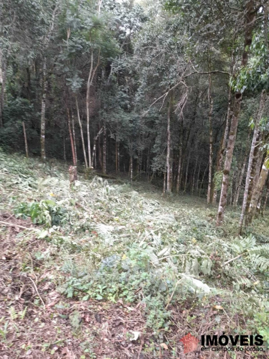 Terreno/Lote Residencial para Venda - Campos do Jordão, Recanto Floresta Negra - REF: 2384 Imagem da galeria de fotos: Terreno/Lote Residencial para Venda - Campos do Jordão, Recanto Floresta Negra - REF: 2384