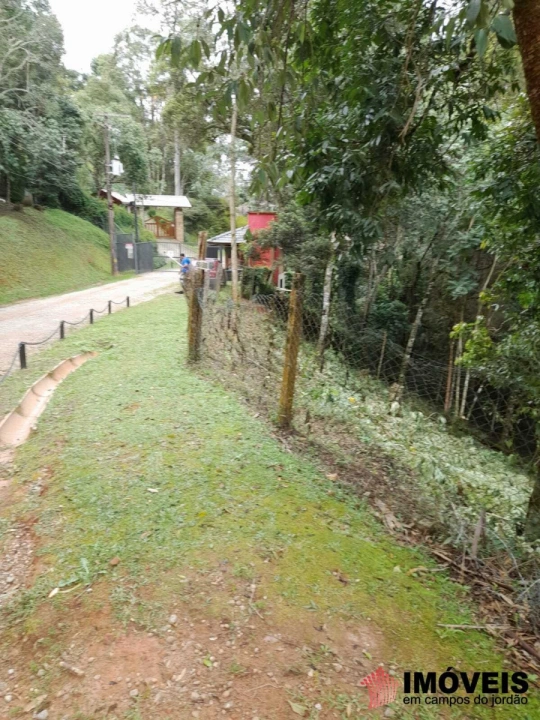 Terreno/Lote Residencial para Venda - Campos do Jordão, Recanto Floresta Negra - REF: 2384 Imagem da galeria de fotos: Terreno/Lote Residencial para Venda - Campos do Jordão, Recanto Floresta Negra - REF: 2384