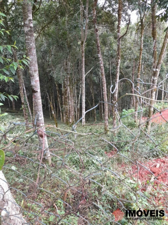 Terreno/Lote Residencial para Venda - Campos do Jordão, Recanto Floresta Negra - REF: 2384 Imagem da galeria de fotos: Terreno/Lote Residencial para Venda - Campos do Jordão, Recanto Floresta Negra - REF: 2384