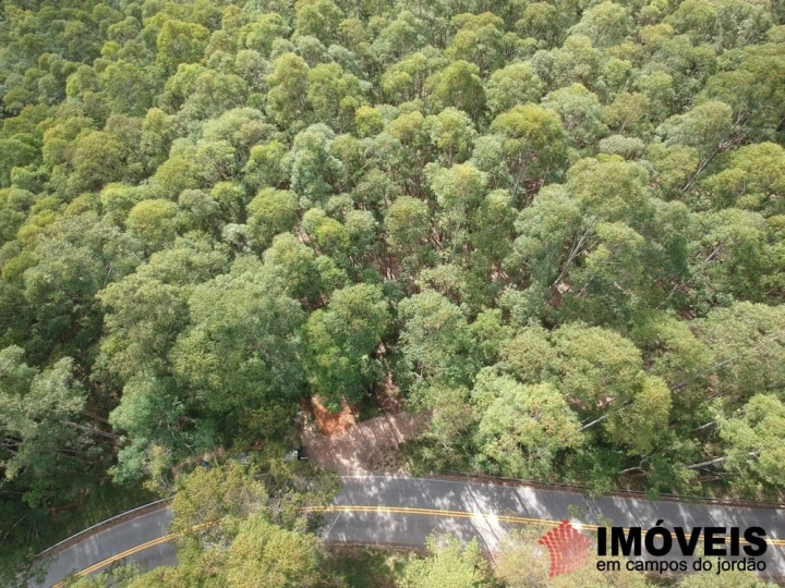 Área para Incorporação Comercial Residencial para Venda - Campos do Jordão, Monte Carlo - REF: 2400 Imagem da galeria de fotos: Área para Incorporação Comercial Residencial para Venda - Campos do Jordão, Monte Carlo - REF: 2400