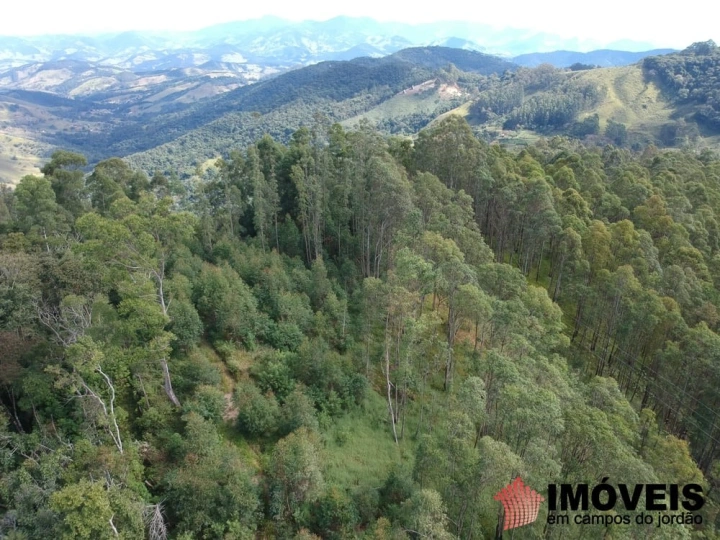 Área para Incorporação Comercial Residencial para Venda - Campos do Jordão, Monte Carlo - REF: 2400 Imagem da galeria de fotos: Área para Incorporação Comercial Residencial para Venda - Campos do Jordão, Monte Carlo - REF: 2400