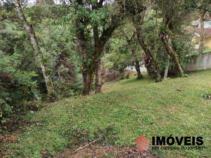 Terreno/Lote Residencial para Venda - Campos do Jordão, Alto do Capivari - REF: 2424 Imagem da galeria de fotos: Terreno/Lote Residencial para Venda - Campos do Jordão, Alto do Capivari - REF: 2424