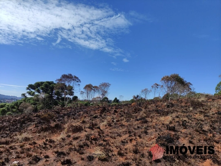 Área para Incorporação Comercial Industrial Corporativo para Venda - Campos do Jordão, Atalaia - REF: 2426 Imagem da galeria de fotos: Área para Incorporação Comercial Industrial Corporativo para Venda - Campos do Jordão, Atalaia - REF: 2426