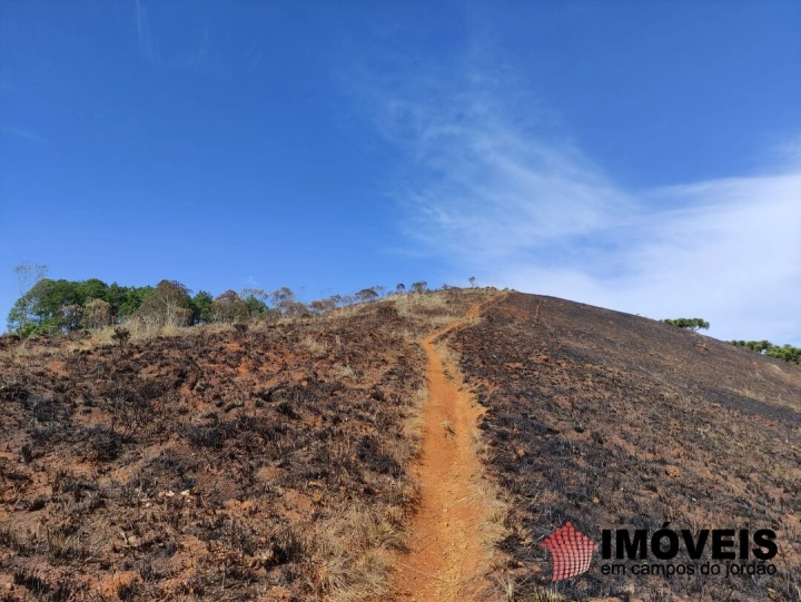 Área para Incorporação Comercial Industrial Corporativo para Venda - Campos do Jordão, Atalaia - REF: 2426 Imagem da galeria de fotos: Área para Incorporação Comercial Industrial Corporativo para Venda - Campos do Jordão, Atalaia - REF: 2426