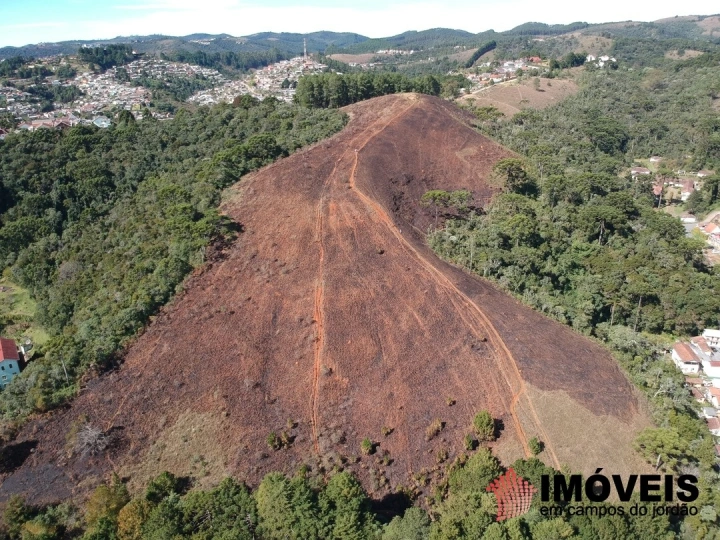 Área para Incorporação Comercial Industrial Corporativo para Venda - Campos do Jordão, Atalaia - REF: 2426 Imagem da galeria de fotos: Área para Incorporação Comercial Industrial Corporativo para Venda - Campos do Jordão, Atalaia - REF: 2426