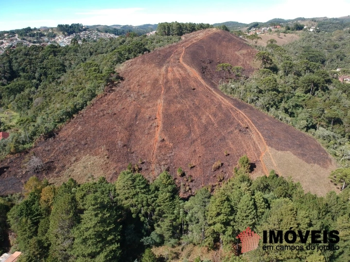 Área para Incorporação Comercial Industrial Corporativo para Venda - Campos do Jordão, Atalaia - REF: 2426 Imagem da galeria de fotos: Área para Incorporação Comercial Industrial Corporativo para Venda - Campos do Jordão, Atalaia - REF: 2426
