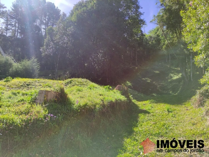 Terreno/Lote Residencial para Venda - Campos do Jordão, Alto do Capivari - REF: 2431 Imagem da galeria de fotos: Terreno/Lote Residencial para Venda - Campos do Jordão, Alto do Capivari - REF: 2431