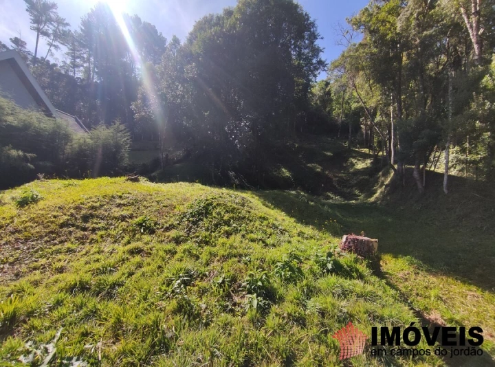 Terreno/Lote Residencial para Venda - Campos do Jordão, Alto do Capivari - REF: 2431 Imagem da galeria de fotos: Terreno/Lote Residencial para Venda - Campos do Jordão, Alto do Capivari - REF: 2431