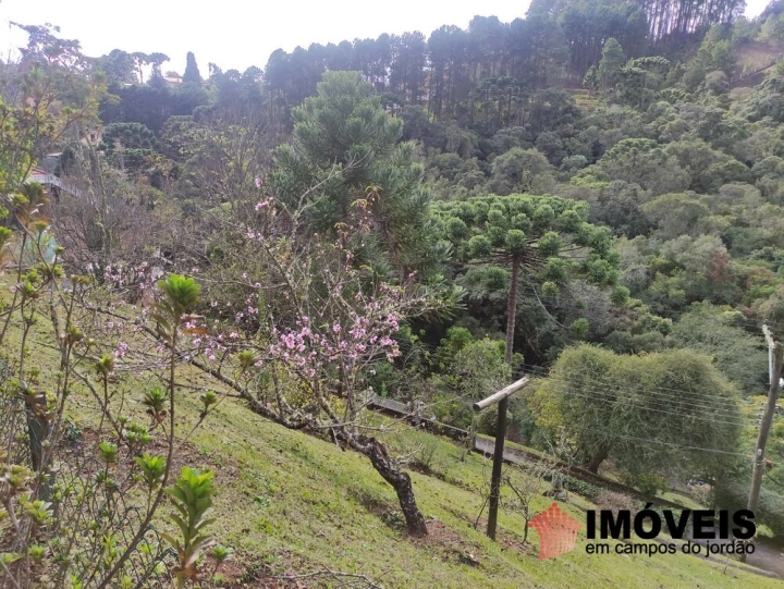 Casa Residencial para Venda - Campos do Jordão, Vale Encantado - REF: 2446 Imagem da galeria de fotos: Casa Residencial para Venda - Campos do Jordão, Vale Encantado - REF: 2446
