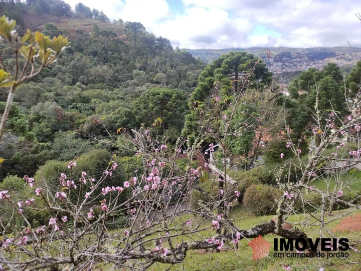 Casa Residencial para Venda - Campos do Jordão, Vale Encantado - REF: 2446 Imagem da galeria de fotos: Casa Residencial para Venda - Campos do Jordão, Vale Encantado - REF: 2446
