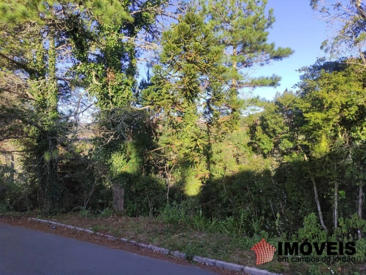 Casa Residencial para Venda - Campos do Jordão, Jaguaribe - REF: 2471 Imagem da galeria de fotos: Casa Residencial para Venda - Campos do Jordão, Jaguaribe - REF: 2471